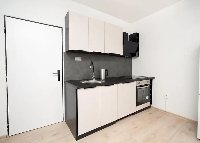 Apartment Karpatska *